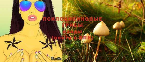 меф Медвежьегорск