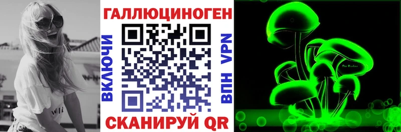 Псилоцибиновые грибы Psilocybine cubensis  Зверево 